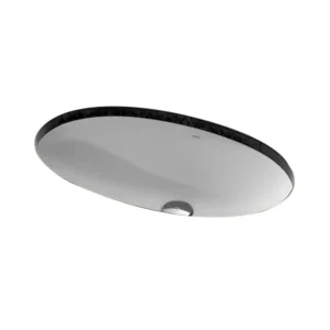 Lavabo âm bàn LW1506V/TL516GV